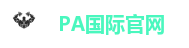 PA国际